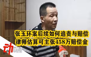 张玉环案后续如何追责与赔偿？律师：估算可主张458万赔偿金