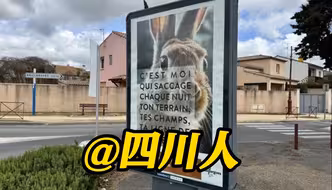 野兔成灾！法国一市在公共广告牌贴菜谱鼓励吃掉 中国网友笑了：@四川人