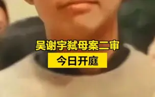 吴谢宇弑母案二审今日开庭