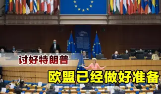 特朗普还没上台，欧盟就主动认怂了，已想好各种讨好特朗普的方案