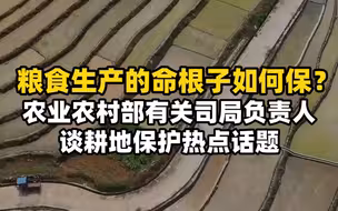 追踪侵占耕地投诉｜粮食生产的命根子如何保？——农业农村部有关司局负责人谈耕地保护热点话题