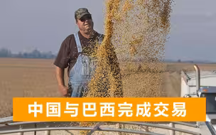 中国取消美国13.2万吨大豆订单，巴西趁机补上，美国出口商发声