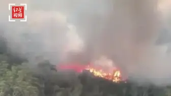 澳大利亚弗雷泽岛山火持续7周仍难控制