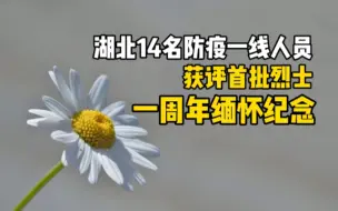 湖北14名防疫一线人员获评首批烈士一周年缅怀纪念