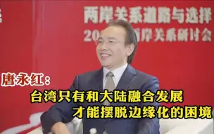 唐永红：台湾只有和大陆融合发展才能摆脱边缘化的困境
