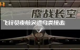 惊险！飞行员夜航飞行时，突遭鸟类撞击战斗机