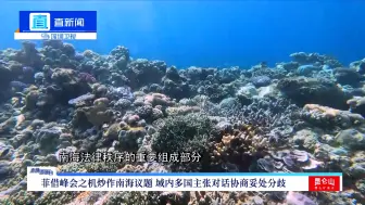 菲律宾“南海多动症”频发  但域内多国看得分明