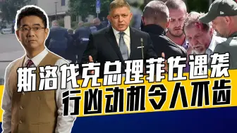 政见不同痛下杀手，71岁凶手痛恨菲佐挺俄反乌，普京发声