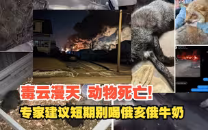 毒云漫天，动物死亡！专家建议短期别喝俄亥俄牛奶