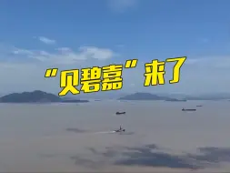 台风“贝碧嘉”登陆或致风浪潮“三碰头”