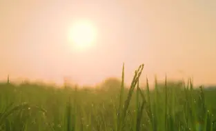 全国土地日丨节约集约用地，严守耕地红线