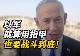 以总理：如果需要以军将用指甲去战斗！拜登暂缓军援是犯了错