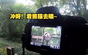 女子领跑百米冲刺看熊猫