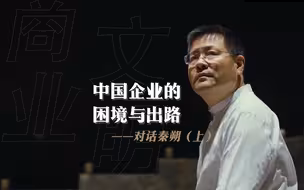 中国企业正在面临哪些困境，机遇又在何方？——对话秦朔（上）【致敬实干家】