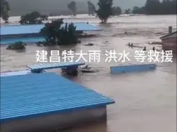 辽宁葫芦岛因洪水村子被淹，水位已接近房顶，市民困在房顶等救援
