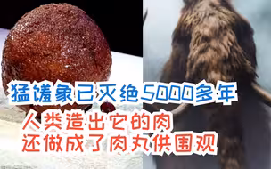 猛犸象已灭绝5000多年 人类造出它的肉还做成了肉丸供围观