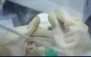 快速精准分拣！天津中医药大学将在第五届世界智能大会上，展示学校自主研发的中药智能分拣机#令人心动的AI