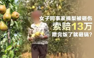 女子同事家摘梨被砸伤索赔13万    蹭完饭了就砸锅？