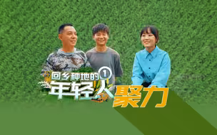 《回乡种地的年轻人 ①：聚力》