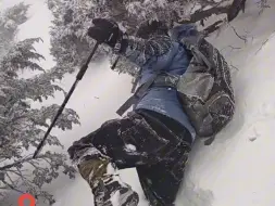 有一种力量，叫风雪中的坚守