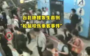台北地铁发生首例“松鼠咬伤乘客事件”
