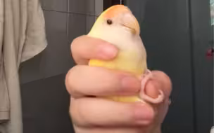 我宝宝会说超级标准的peekaboo～