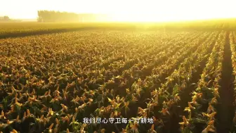 让我们一起守牢18亿亩耕地红线，端牢中国饭碗！