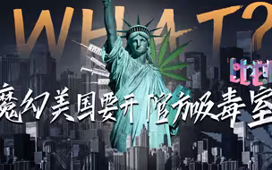 开设官方吸毒室？美国为什么不大力禁毒