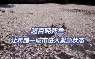 超百吨死鱼堵塞希腊一港口 希腊旅游胜地进入紧急状态