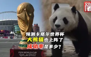 历届世界杯上的动物“预测官 最神的还属它