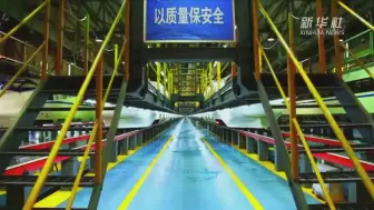 “动宝”去哪儿