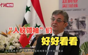 专访叙利亚驻华大使：中国为“人权领袖”们树立了榜样