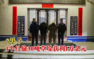 2男子1个月偷30吨草垛获利1万：先后4次盗窃，累计121捆