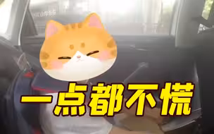 开学第一天上错校车，心大小朋友在警车上唱起快板