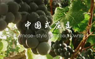 贺兰山下|中国式庄主
