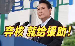 弃核，就给援助！尹锡悦提出对朝“大胆计划”