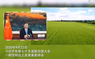 “双碳”之诺