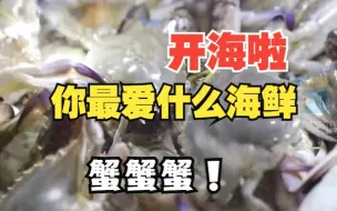 南方开海 梭子蟹北上“抢市场” 市民品尝秋天第一口鲜 坐等九月山东开海！
