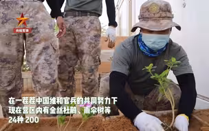 赞！中国蓝盔在沙漠里种出绿洲