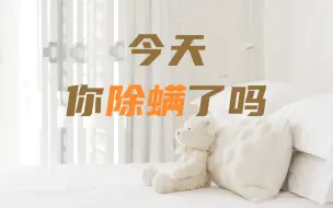 尘螨一年四季都陪着我们入睡
