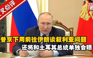 普京下周出国！前往伊朗谈叙利亚问题，还将和土耳其总统埃尔多安单独会晤