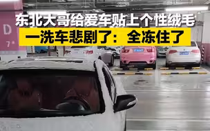 东北大哥给爱车贴上个性绒毛，一洗车悲剧了