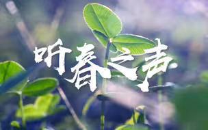 听春之声