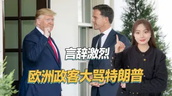 一点面子也不留，欧洲政客公开大骂特朗普，言辞十分激烈