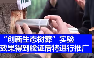 河南举办树葬活动，树干上钻洞放入骨灰：大树“伤口”会自愈！
