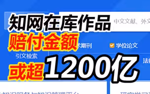 知网方：如果以200元/千字的标准赔偿，知网在库作品要赔偿1200亿
