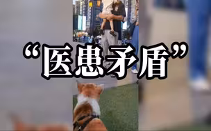 狗狗认出做绝育医生后焦躁大叫：求狗子的心理阴影面积
