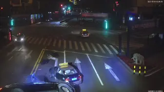 视频|醉酒驾驶不听劝 男子被拘留