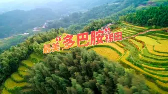 江西吉安#桃源梯田一年四季皆风景 踏上#最美自驾路，打卡#吉安最美多巴胺梯田