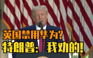 特朗普承认劝说多国停用华为